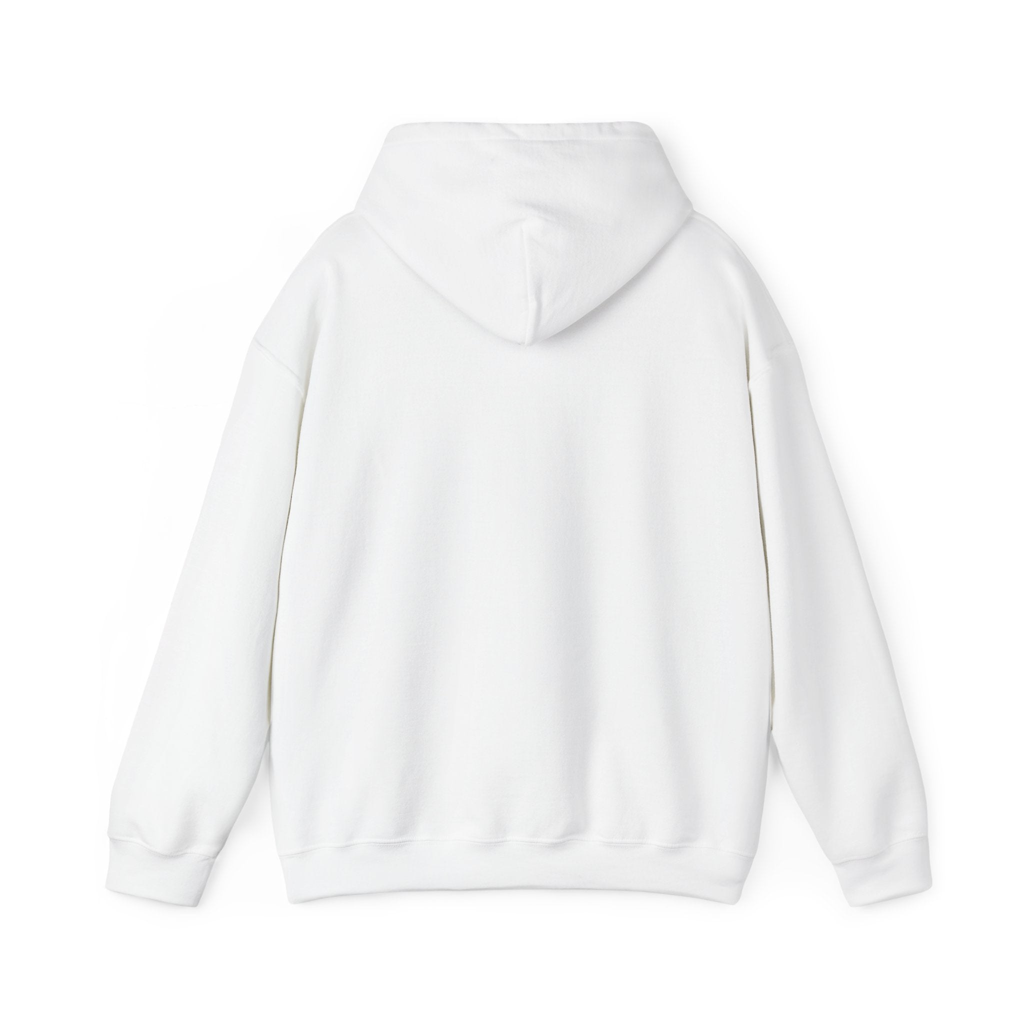 Koala Trio Hoodie — Cute Australian Animal Sweatshirt